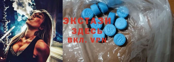 гидра Алексеевка