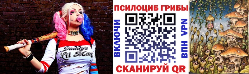 купить   Богородицк  Галлюциногенные грибы MAGIC MUSHROOMS 