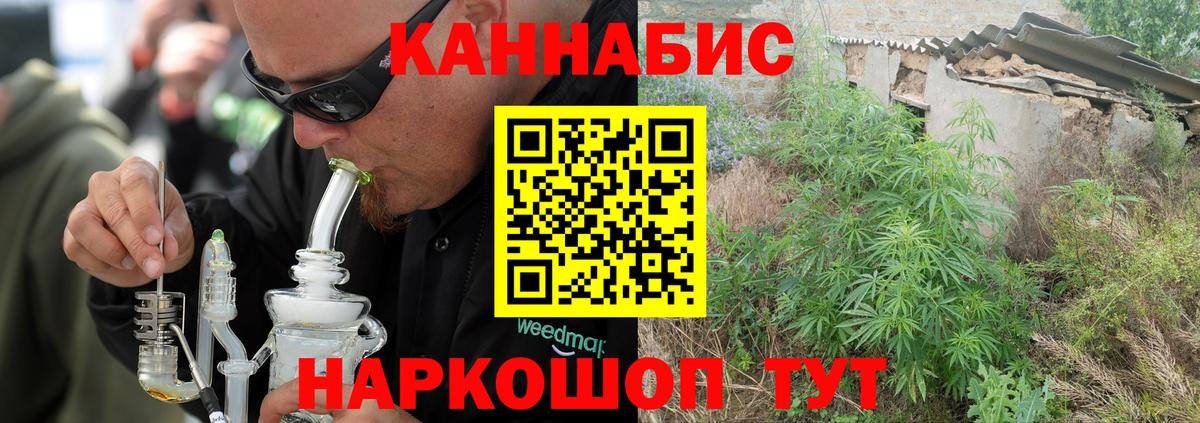 Шишки марихуана планчик  Вход с VPN  Богородицк  Канабис семена  Каннабис сатива 
